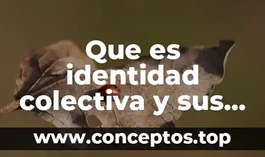 Que es sujeto receptor de derechos 8 Que es identidad colectiva y sus caracteristicas