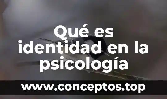 Que es inconsciente psicologia 8 Qué es identidad en la psicología