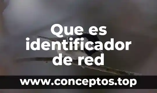 Que es identificador de red