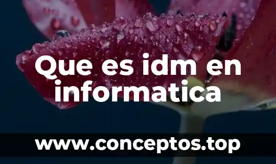 Que significa o que es un multiprogramacion en informatica 4 Que es idm en informatica