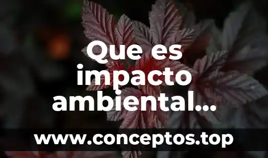 Que significa norma ambiental y que es una norma ambiental 5 Que es impacto ambiental positivo y negativo