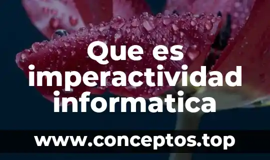Que es imperactividad informatica