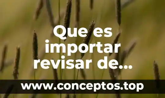 Que es importar revisar de nuevo un texto