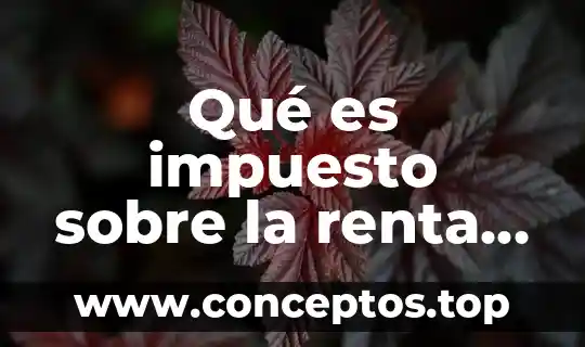 Qué es impuesto sobre la renta y cuando se aplica