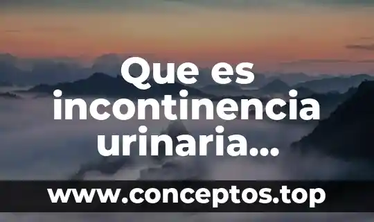 Que es incontinencia urinaria funcional