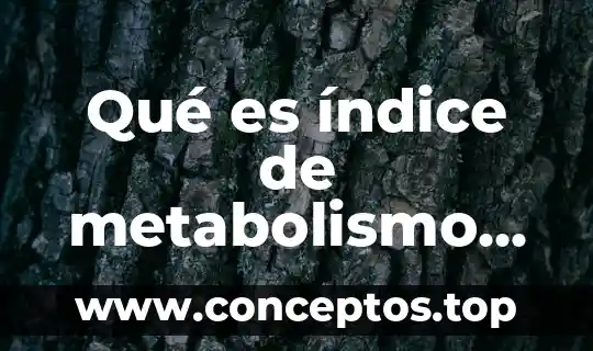 Qué es índice de metabolismo basal