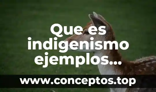 Qué es factorización tipos y ejemplos 5 Que es indigenismo ejemplos tijuana lengua