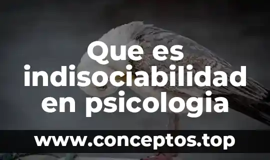 Que es indisociabilidad en psicologia