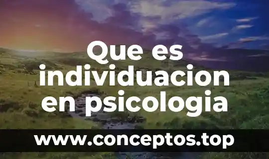 Psicología soviética que es 6 Que es individuacion en psicologia