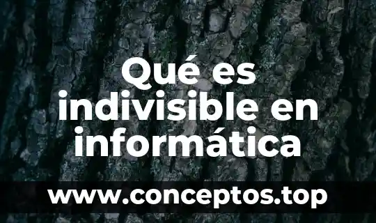 Qué es significa soldado en informática 3 Qué es indivisible en informática