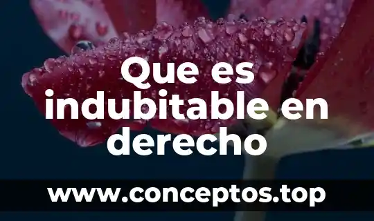 Que es indubitable en derecho
