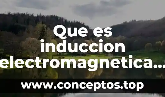 Que es induccion electromagnetica ejemplos