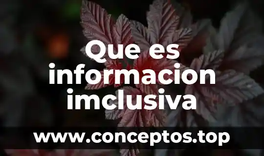 Análisis de la información que es 8 Que es informacion imclusiva