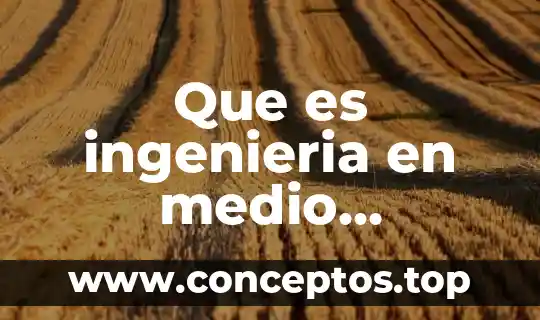 Que es ingenieria en medio ambiente