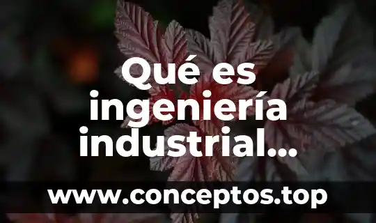 Qué es ingeniería industrial fuentes de internacionales