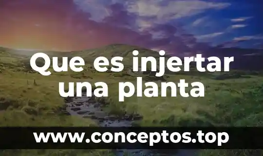 Que es injertar una planta