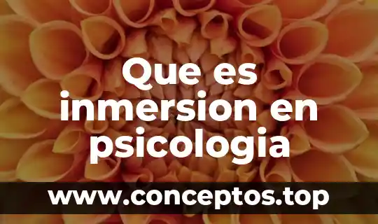 Que es inmersion en psicologia