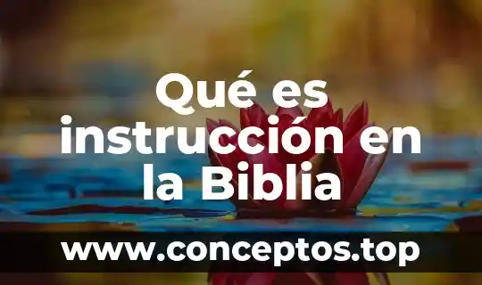 Qué es instrucción en la Biblia
