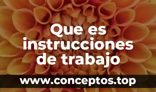 Que es instrucciones de trabajo