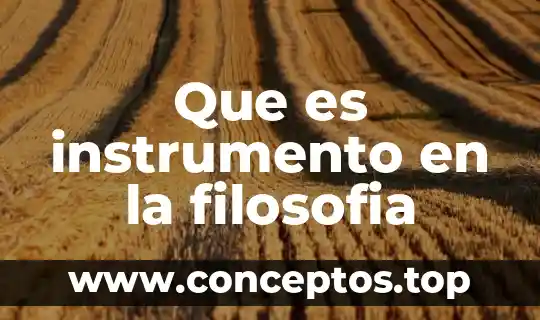 Que es instrumento en la filosofia