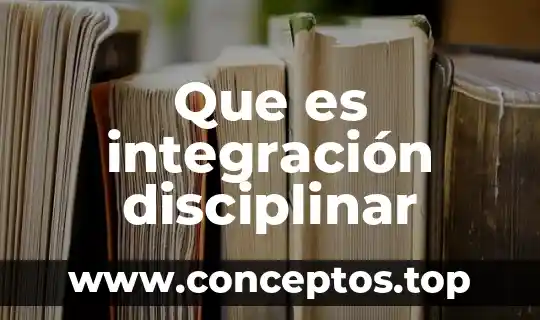 Que es integración disciplinar