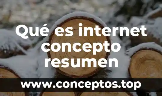 Qué es internet concepto resumen