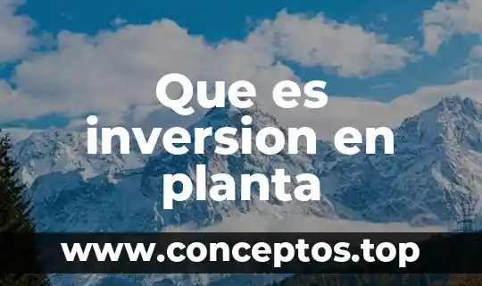 Planta de reciclaje que es 7 Que es inversion en planta