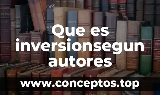 Que es inversionsegun autores