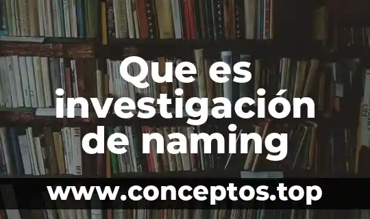 Que es investigación de naming