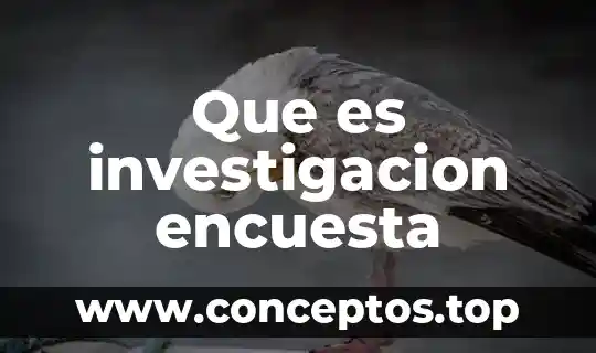 Que es investigacion encuesta