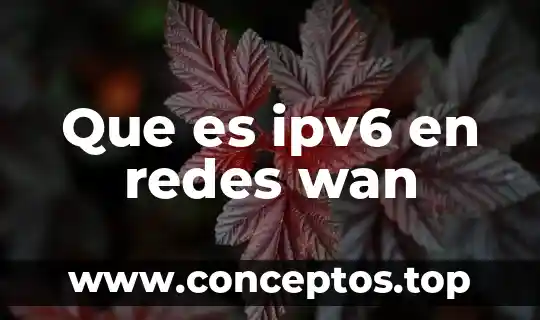 Que es ipv6 en redes wan