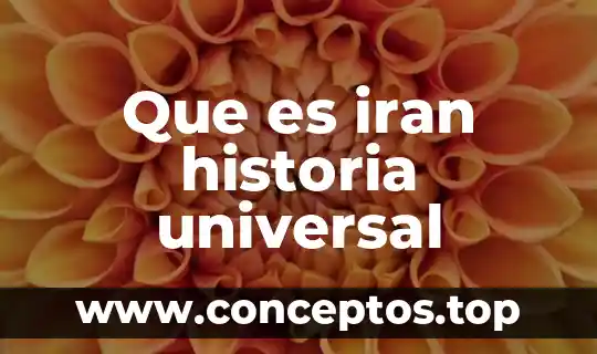 Que es iran historia universal