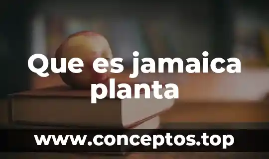 Planta de reciclaje que es 4 Que es jamaica planta