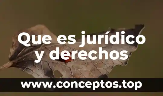 Que es jurídico y derechos