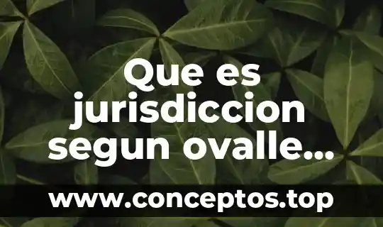 Qué es la genealogía según Foucault 8 Que es jurisdiccion segun ovalle favela