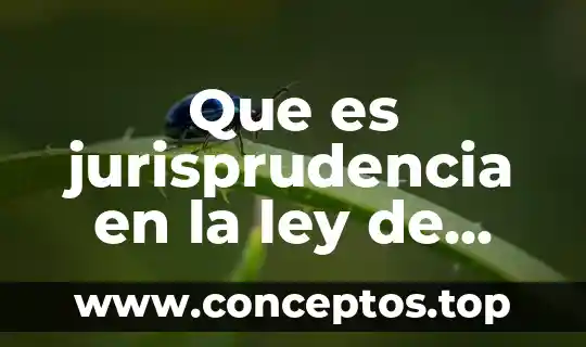 Que es jurisprudencia en la ley de amparo
