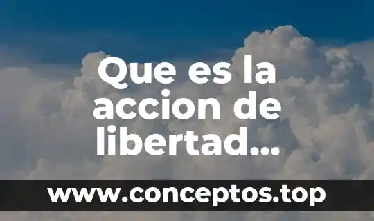 Qué es la BPA en una acción 3 Que es la accion de libertad innovativa