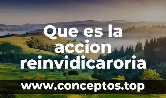Que es la accion reinvidicaroria