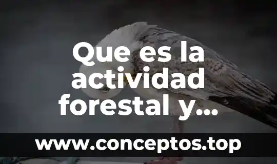 Que es la actividad forestal y agopecuaria