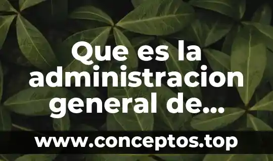 Que es una ley federal significado 4 Que es la administracion general de auditoria fiscal federal facultades