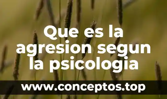 Que es el significado dentro de psicologia 8 Que es la agresion segun la psicologia