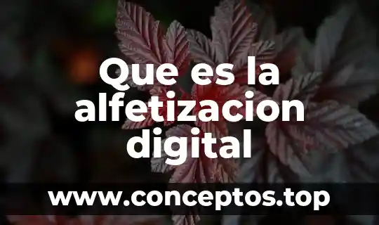 Que es una representación digital 4 Que es la alfetizacion digital