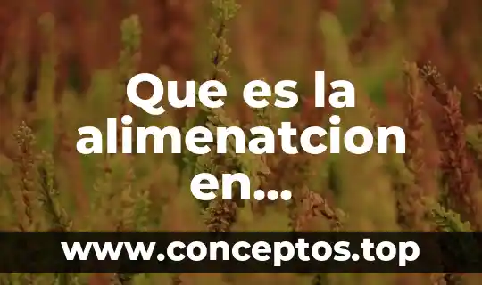 Que es la alimenatcion en computadoras