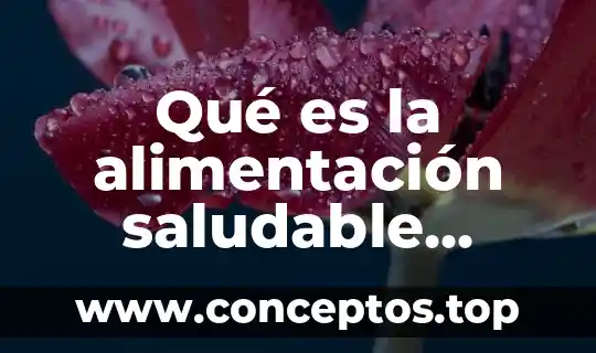 Que es un bol de cereales saludable 6 Qué es la alimentación saludable información