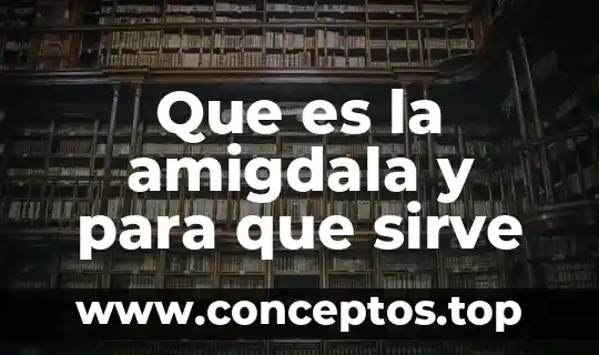 Que es la amigdala y para que sirve