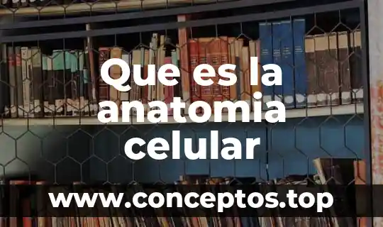 Que es la estatica de un celular 5 Que es la anatomia celular