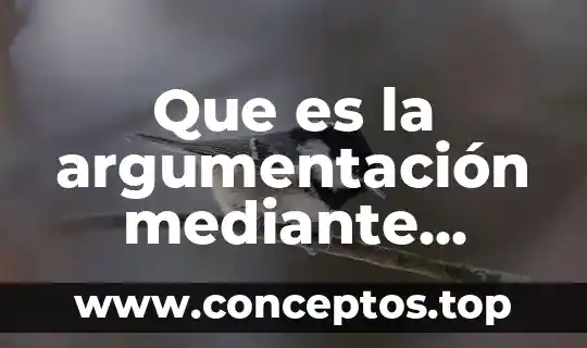 Que es la argumentación mediante ejemplos