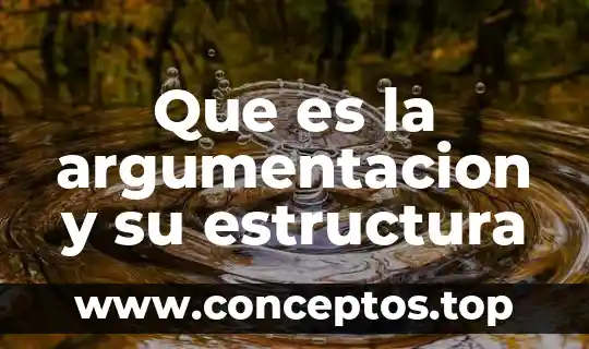 Que es la argumentacion y su estructura