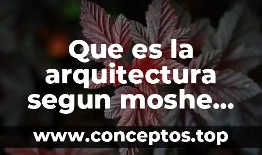 Que es la arquitectura segun moshe safdie