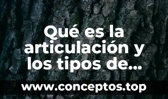 Que es una articulacion enun mecanismo 3 Qué es la articulación y los tipos de articulación